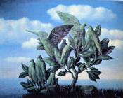 宝岛 - 雷内·马格里特